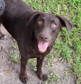 Photo of Tatchell / Penny Bliss