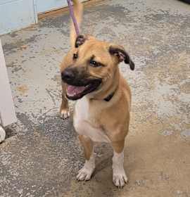 Photo of 092325 - Kona