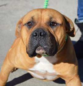 Photo of BRIGGS/URGENT