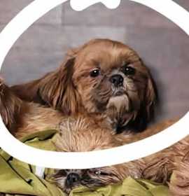 Photo of NOEL in RHODE ISLAND