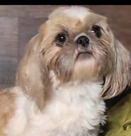 Photo of CECILY in RHODE ISLAND