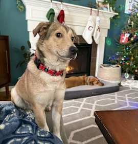 Photo of Lurana aka LuLu