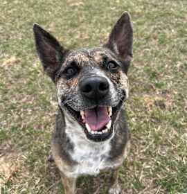 Photo of Kady (Cherri Pie) 