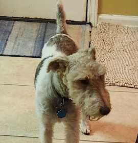 Photo of Bojangles Moore