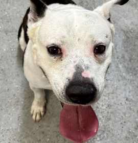 Photo of Luke stunning boy