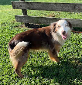 Photo of Doctor Waffles