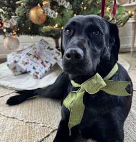 Photo of Aimee Leigh Gemstone