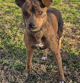 Photo of Mrs Butterworth