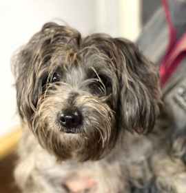 Photo of Cassie Gatlin