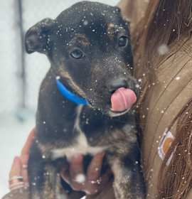 Photo of Carter(Mall Of NH)