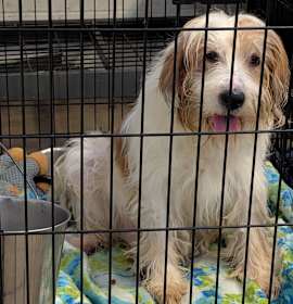 Photo of Spot (Photos 12/13/2025)