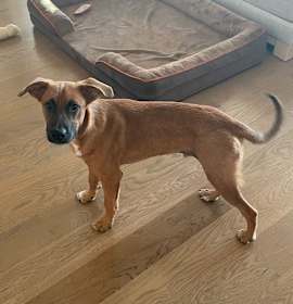 Photo of Chance Freedom