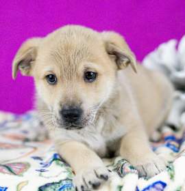 Photo of Mr. Goodbar