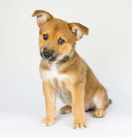 Photo of Diane Keaton