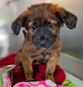 Photo of Linnie McCallister