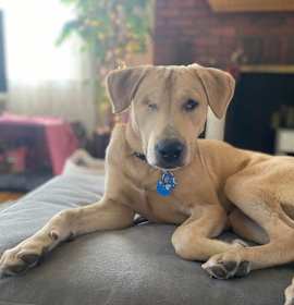 Photo of Hope KW in NE