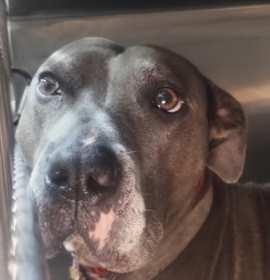 Photo of April/ Bella*