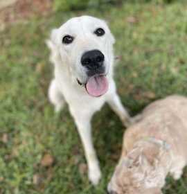 Photo of Abigralli / Winter