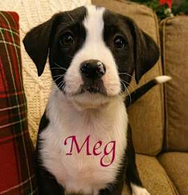Photo of Meg