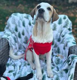 Photo of Bastille My Heart