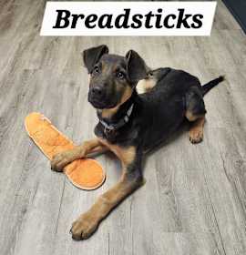 Photo of Breadsticks