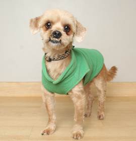 Photo of Oscar D67353