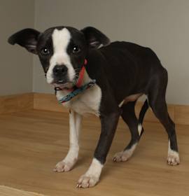 Photo of Maddi D67403