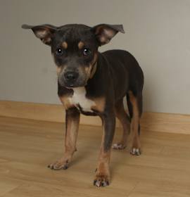 Photo of Mary D67404