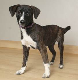 Photo of Shirley D67410