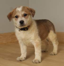 Photo of Maverick D67413