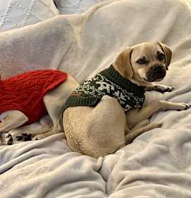 Photo of Penny and Parker