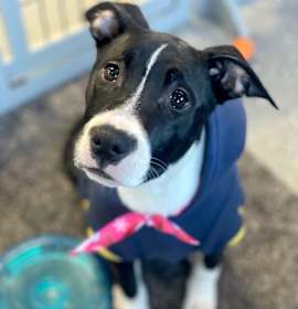 Photo of Shenzi Hernando - LOCAL