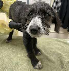 Photo of Merry Mistletoe