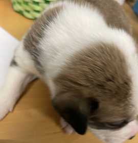 Photo of 032405 - Luka