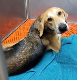 Photo of 102306 - Brody