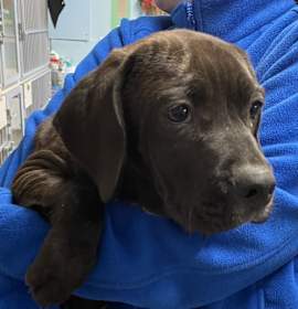 Photo of 012421 - Sonny