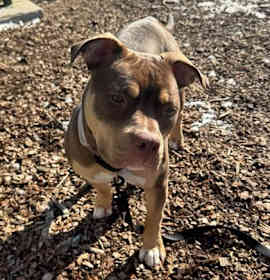 Photo of TWINKLE TOES