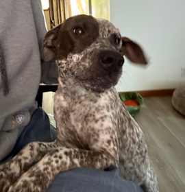 Photo of Sweet Caroline 