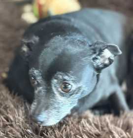 Photo of Ellie Christmas