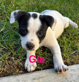 Photo of Gia