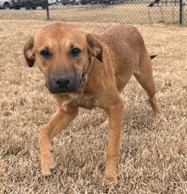 Photo of (Found) Eddie