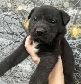 Photo of Teddy Bear*