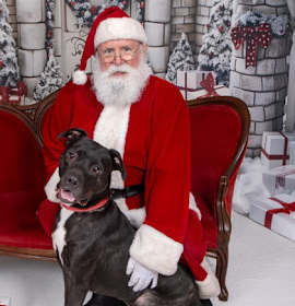 Peter - In a Foster Home photo 2