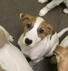 Photo of Glenn 🛠️