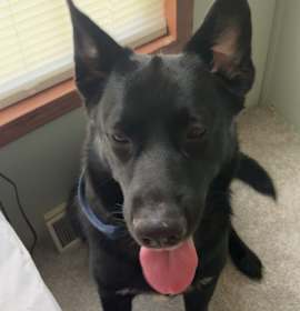 Photo of Dee oh gee (CL)