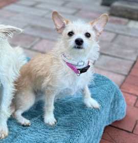 Photo of Tiny Dancer