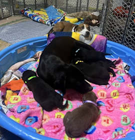 Photo of Aittoka / Max