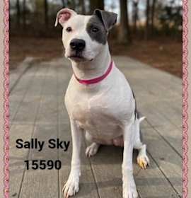 Photo of Sally Sky (831)