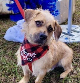 Photo of Sam Handwich