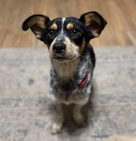 Photo of Molly Gilstrap